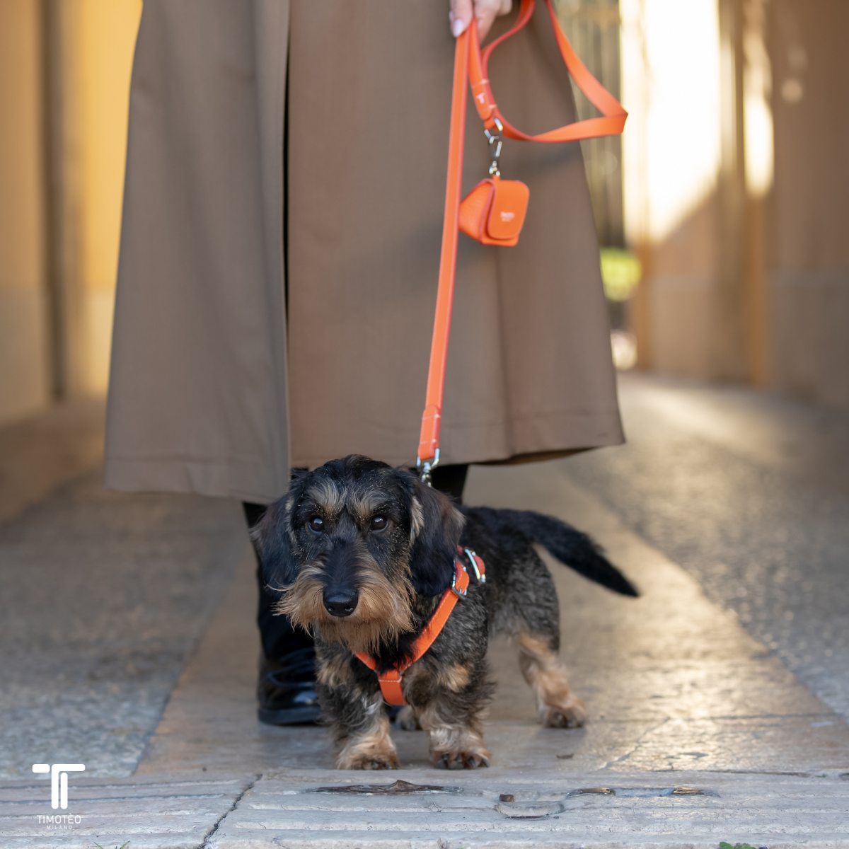 Guinzaglio in pelle arancione con tracolla e moschettone, per cane