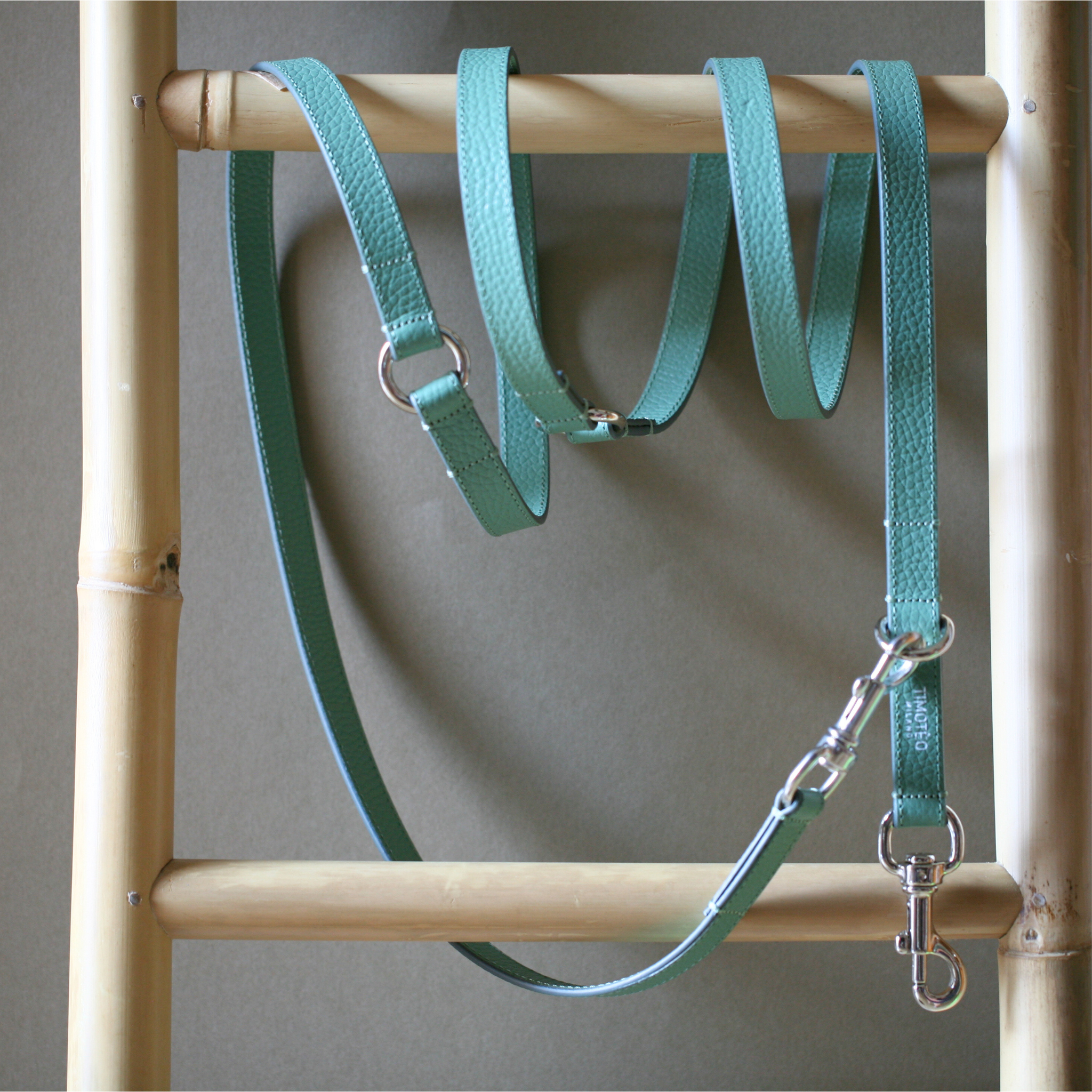 Guinzaglio in pelle Mint