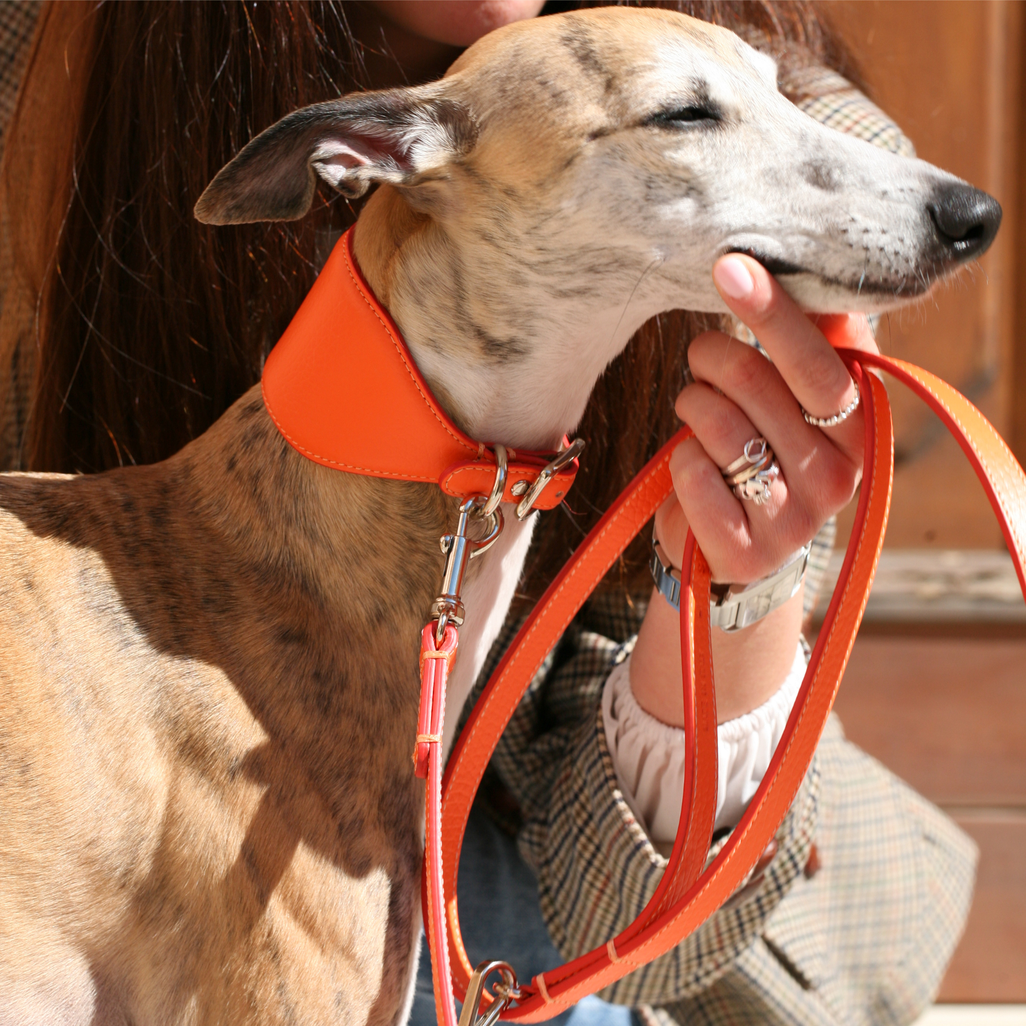 Orangenes Halsbänder für Windhunde aus Leder