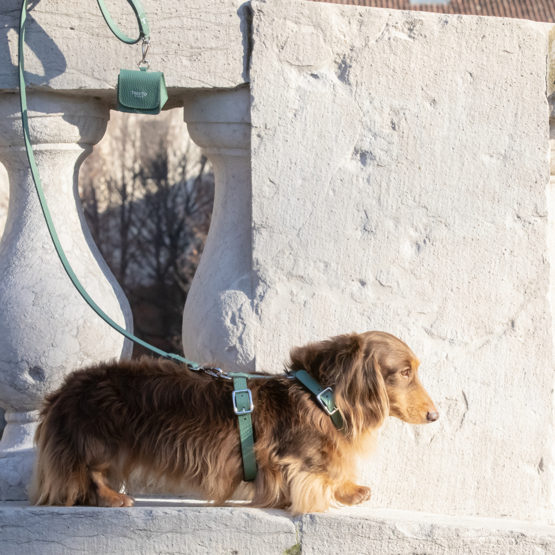 Guinzaglio in pelle Mint