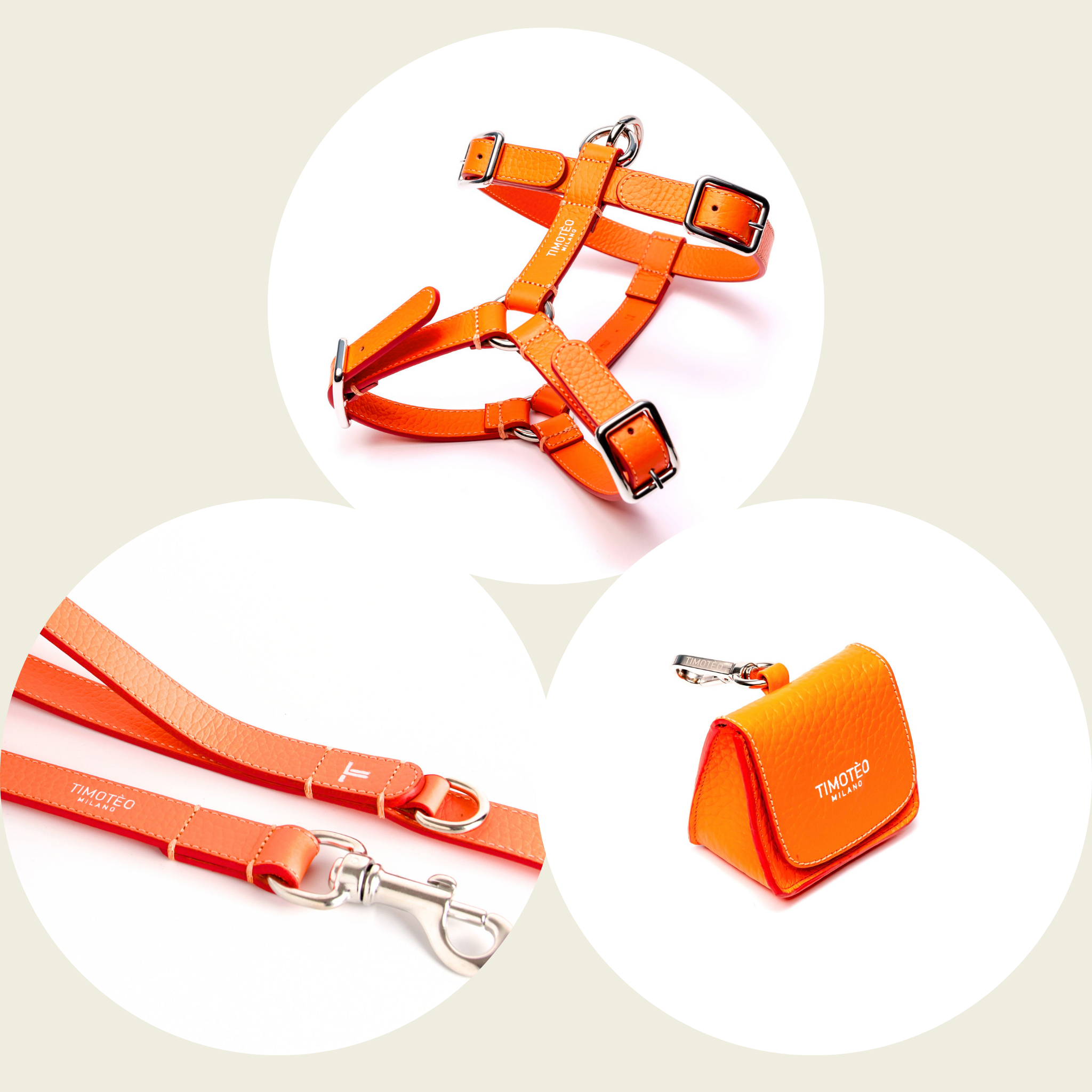 Set Arnés H