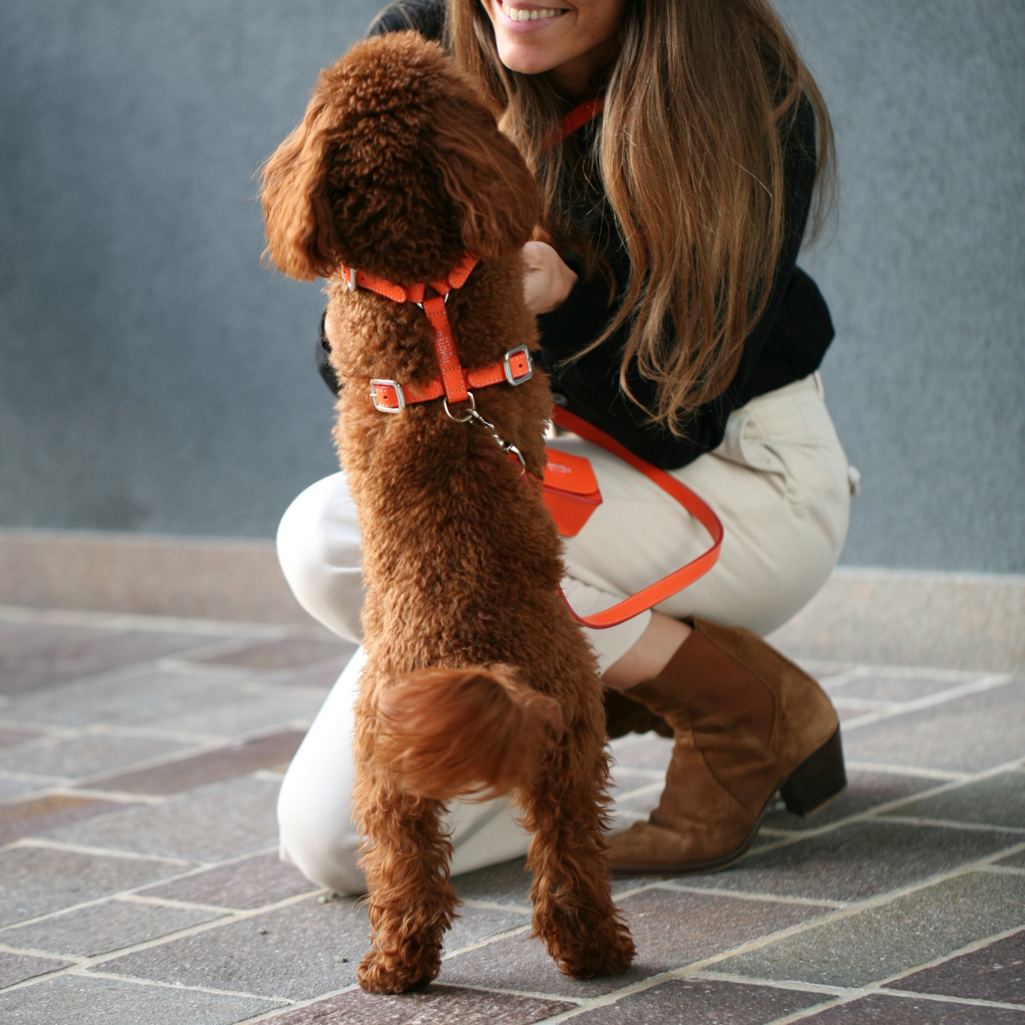 Pettorina H in pelle Iconic orange