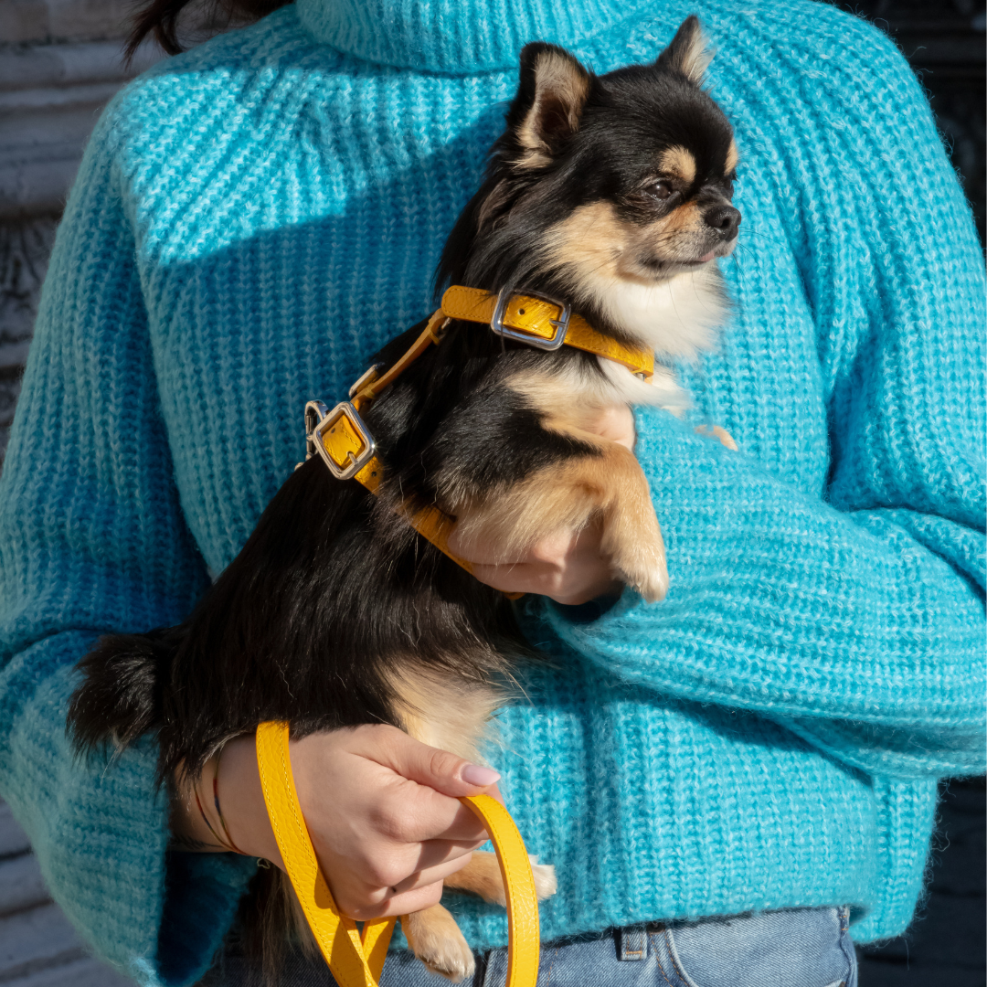 H Leather Harness Mint