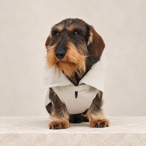 Giacca per cane beige chiaro con cappuccio e chiusura frontale