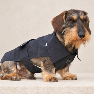 Giacca per cane blu notte con bottoni a pressione e risvolti anteriori