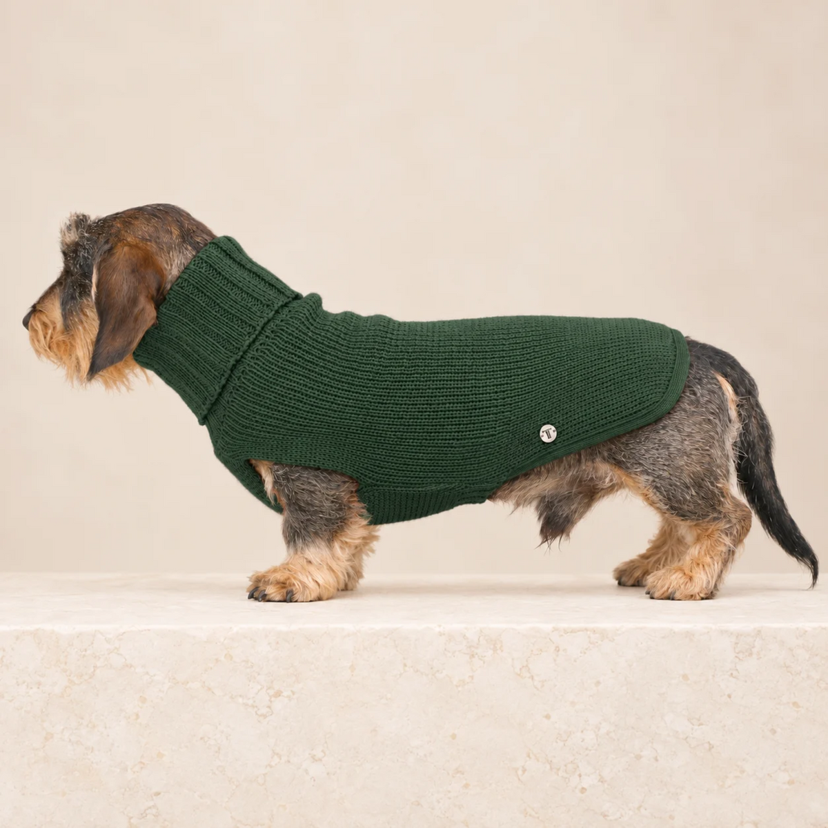 Maglioncino per cane a collo alto verde scuro, maglia a coste e bottone.