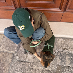 Maglioncino a collo alto verde bosco per cane, tessuto a maglia e bottone sul collo.