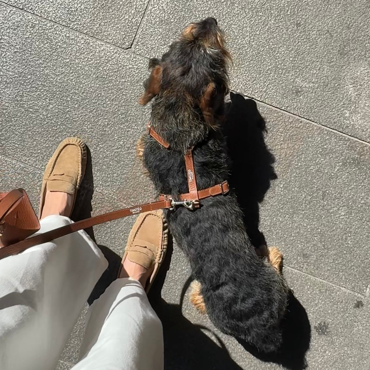 Pettorina H in pelle Cinnamon