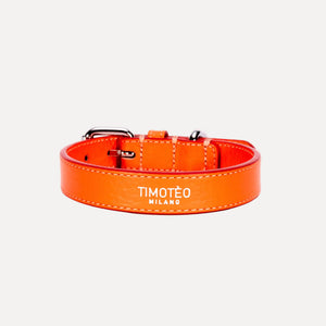 Color_Timotèo Orange