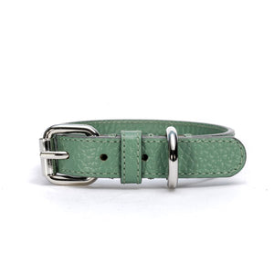 Color_Verde Mint