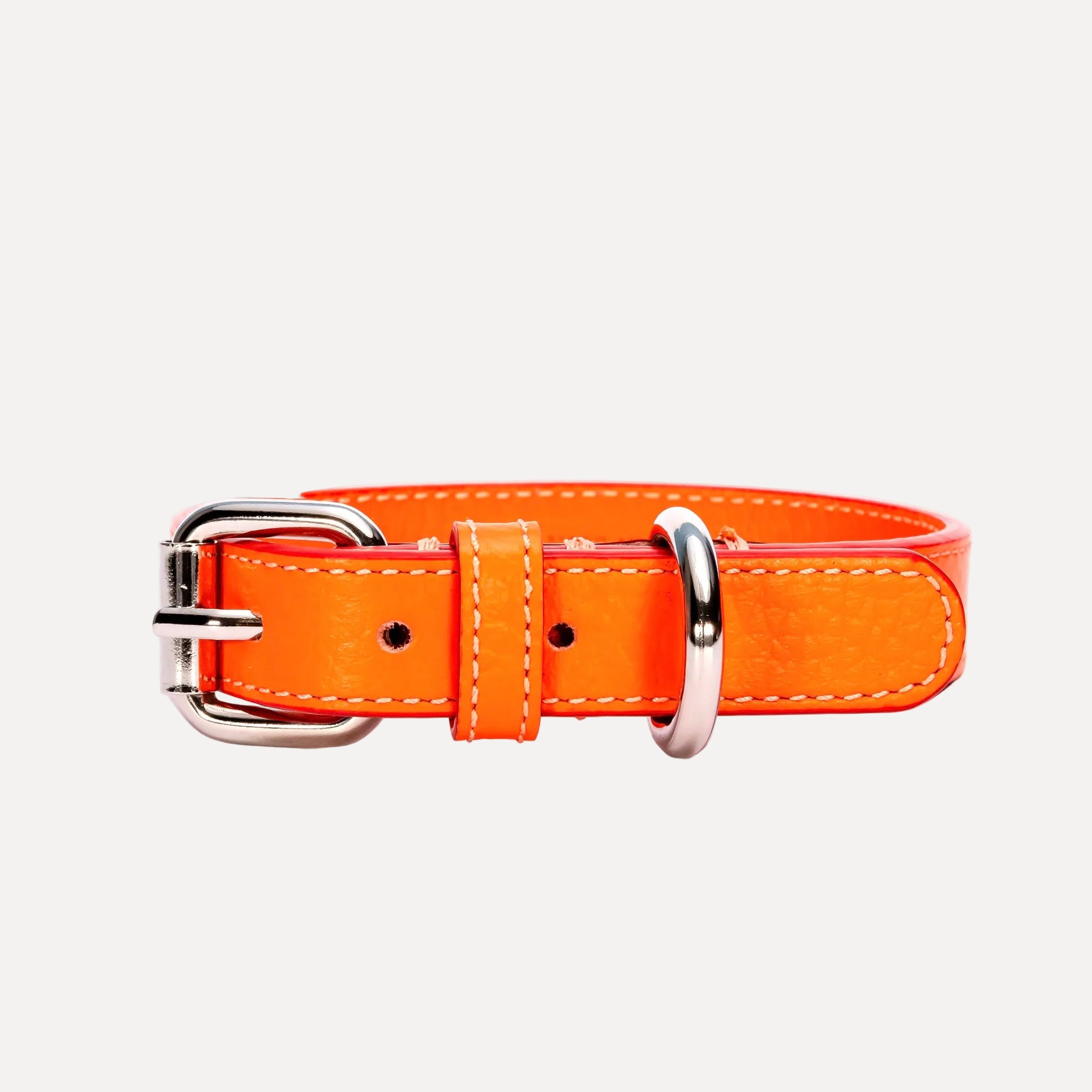 Color_Timotèo Orange