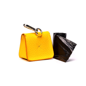 Color_Giallo Mango