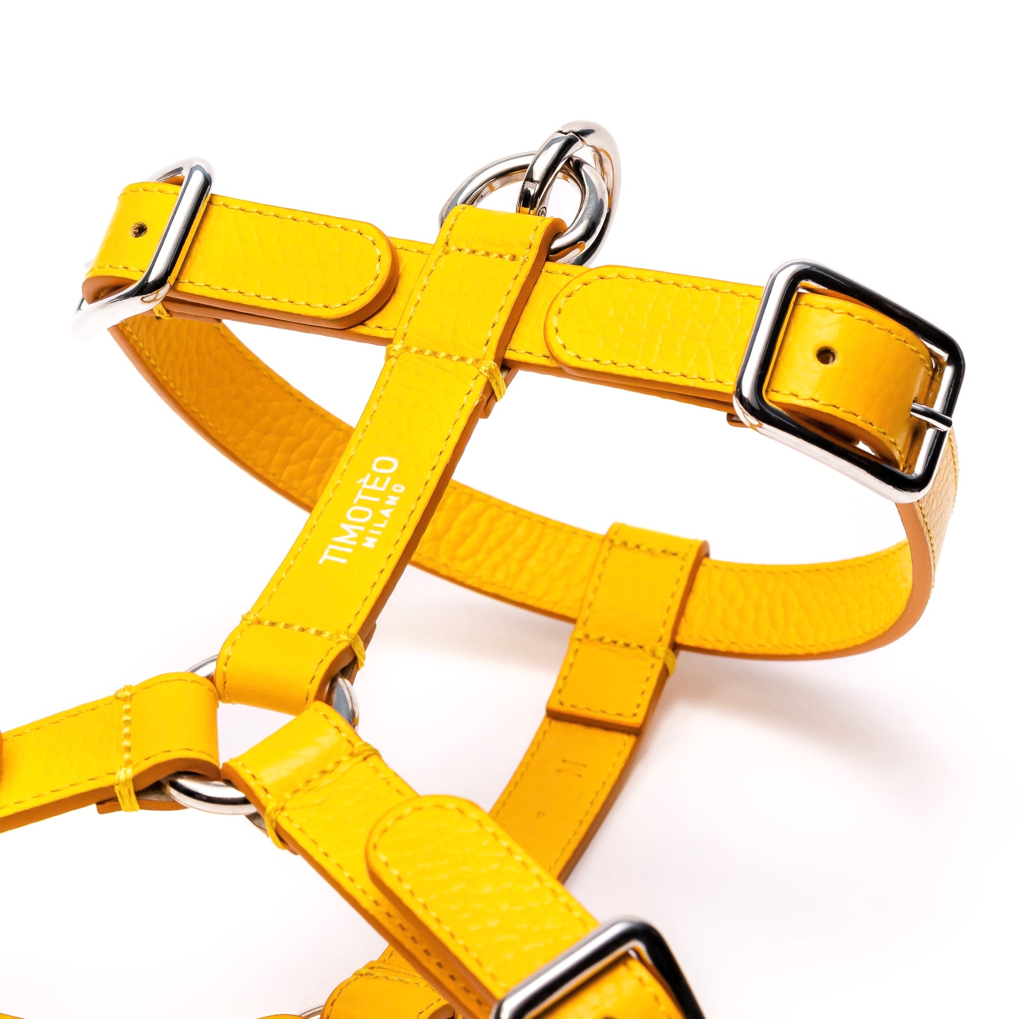 Color_Giallo Mango