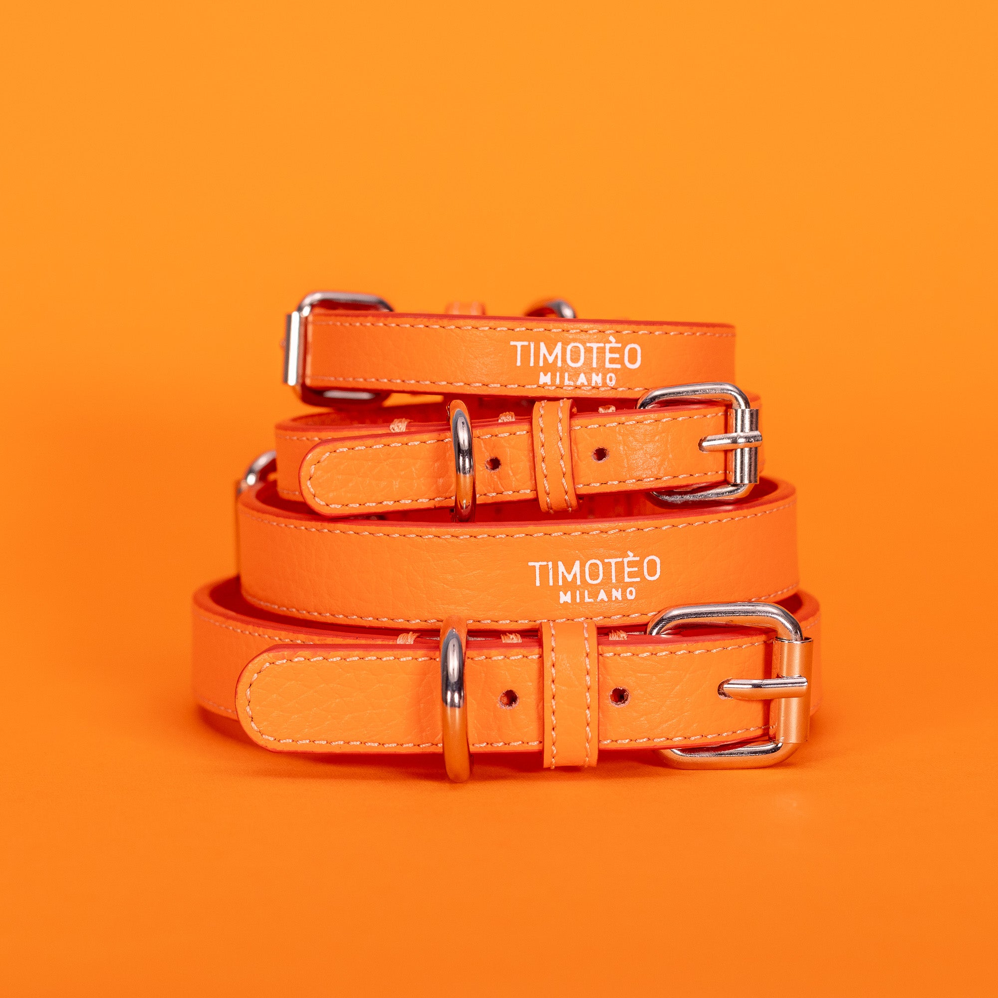 Color_Timotèo Orange