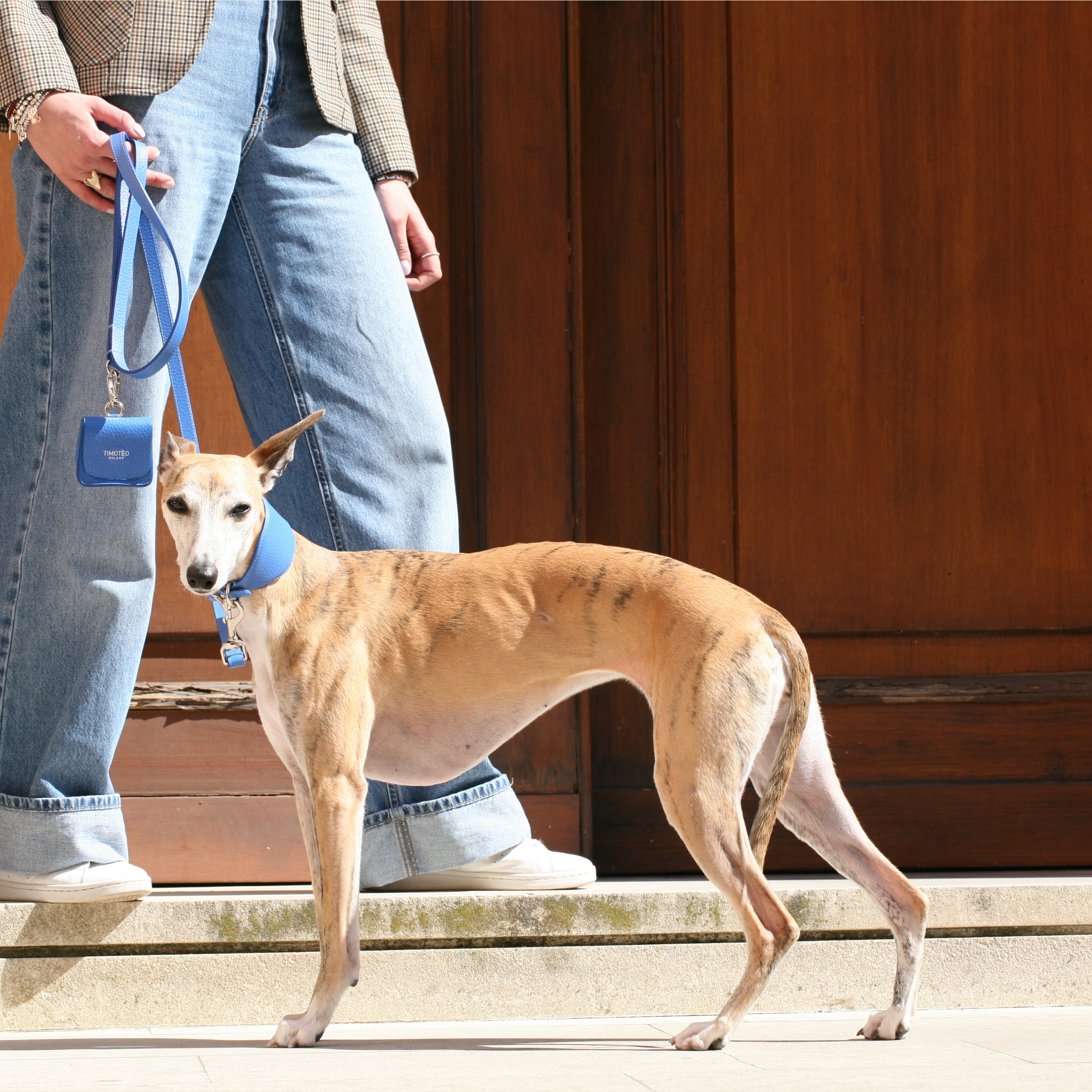 La passeggiata con il cane: un rituale quotidiano di benessere e stile