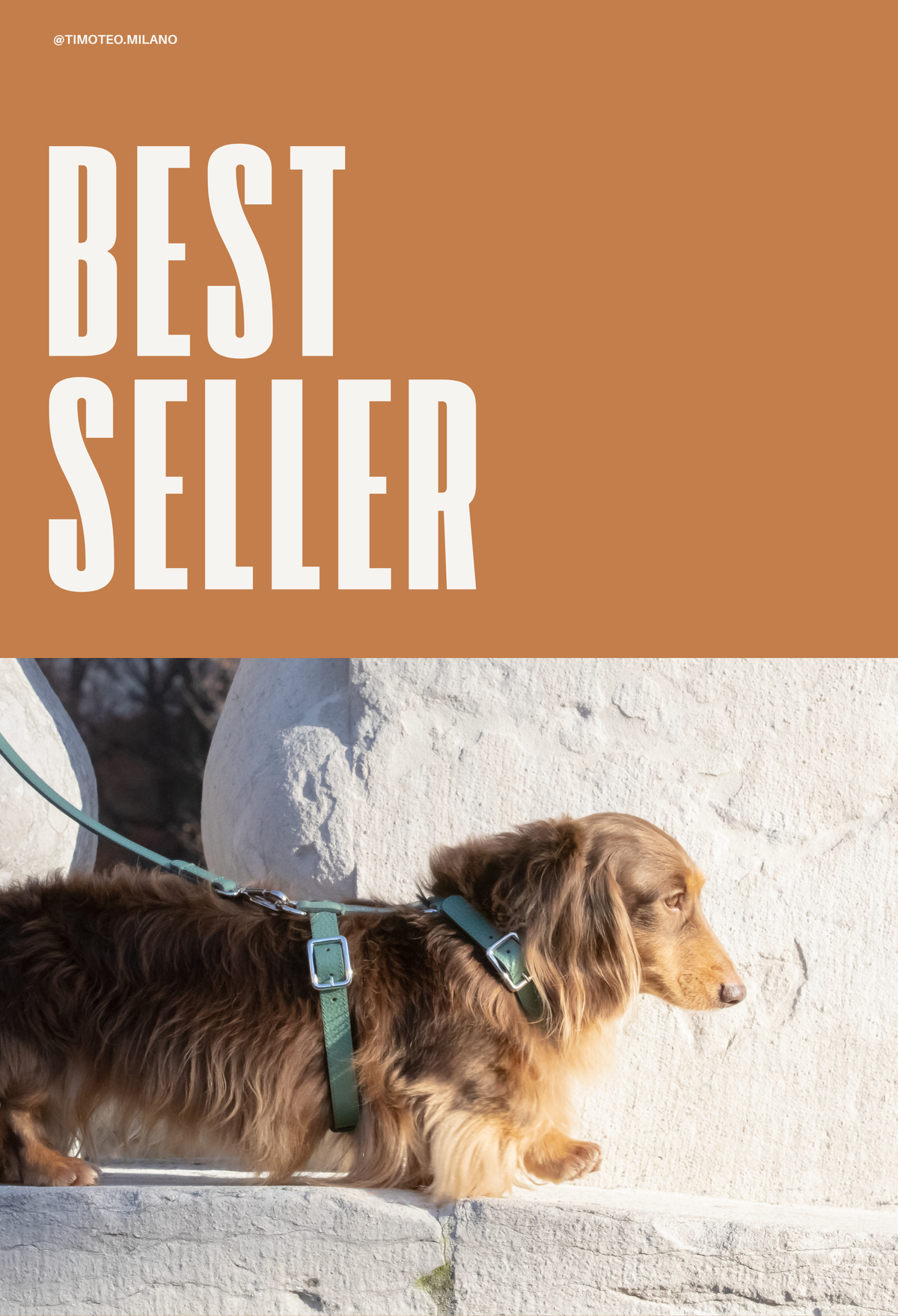 BEST SELLER