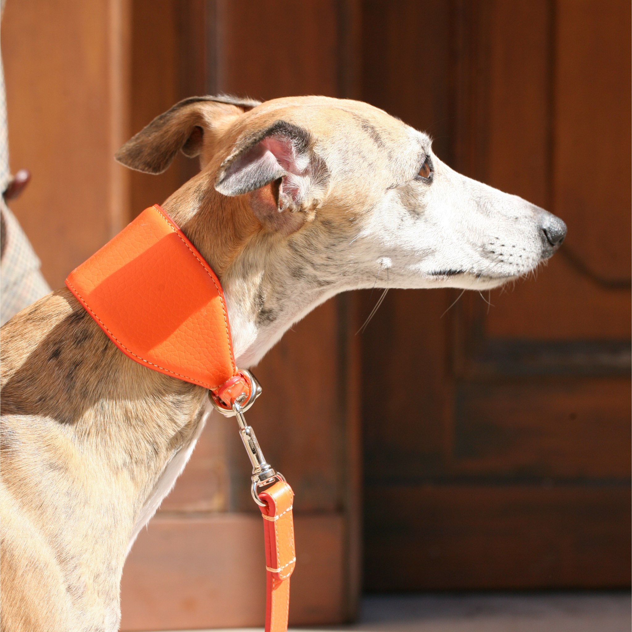 Collare Levriero in pelle Iconic Orange