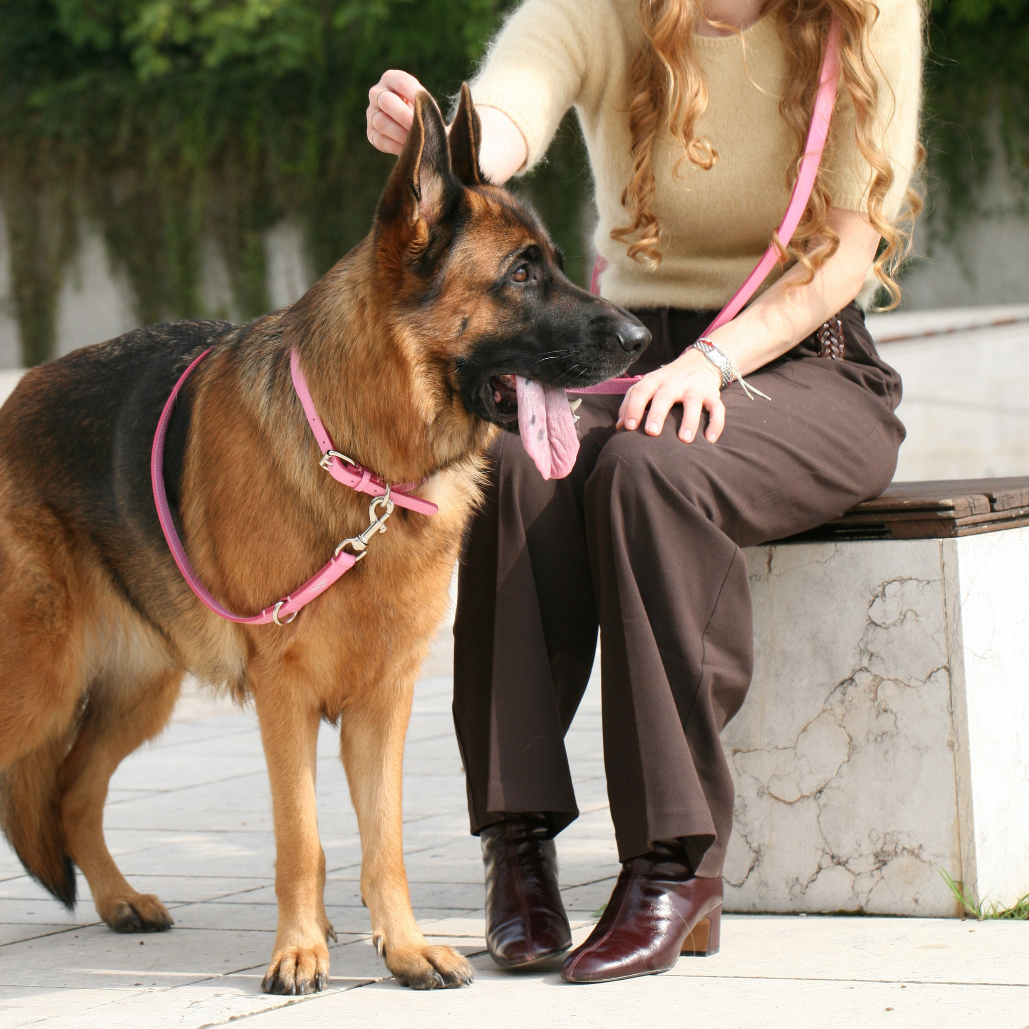 Leather leash Flamingo