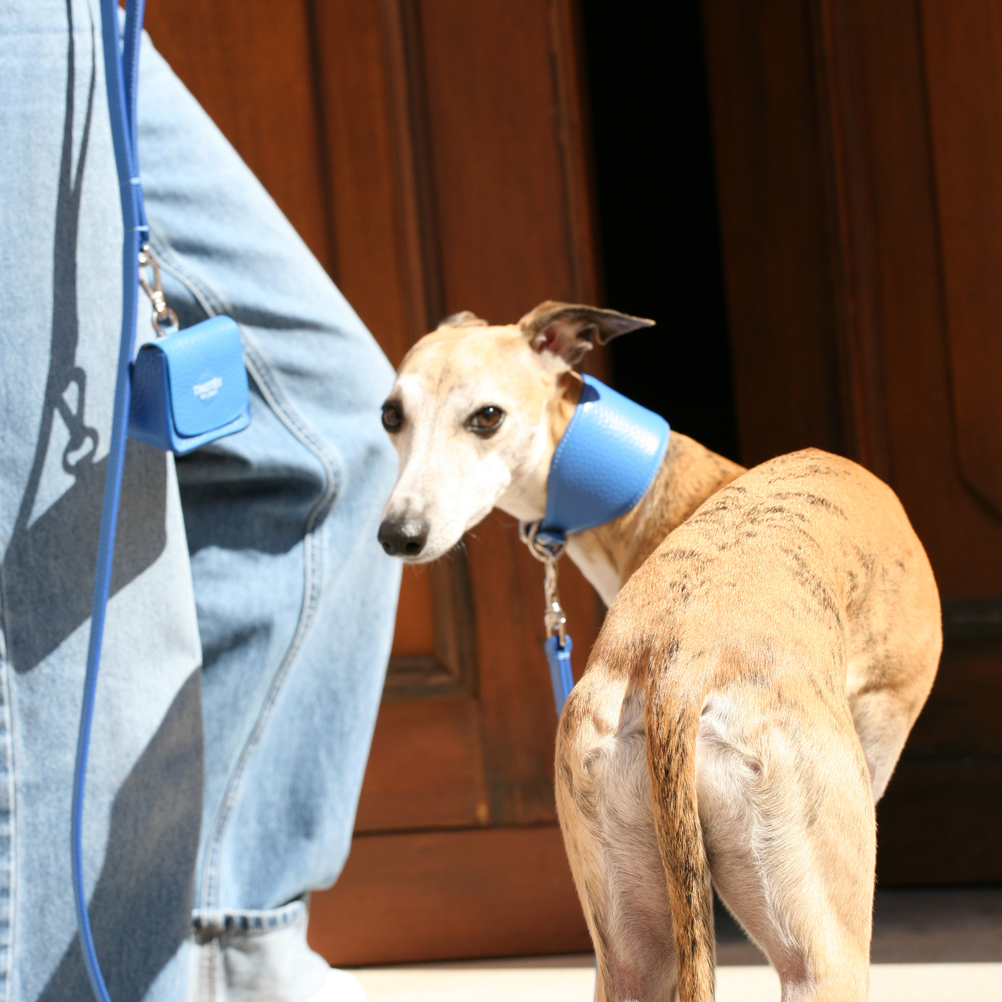 Collare Levriero in pelle Santorini