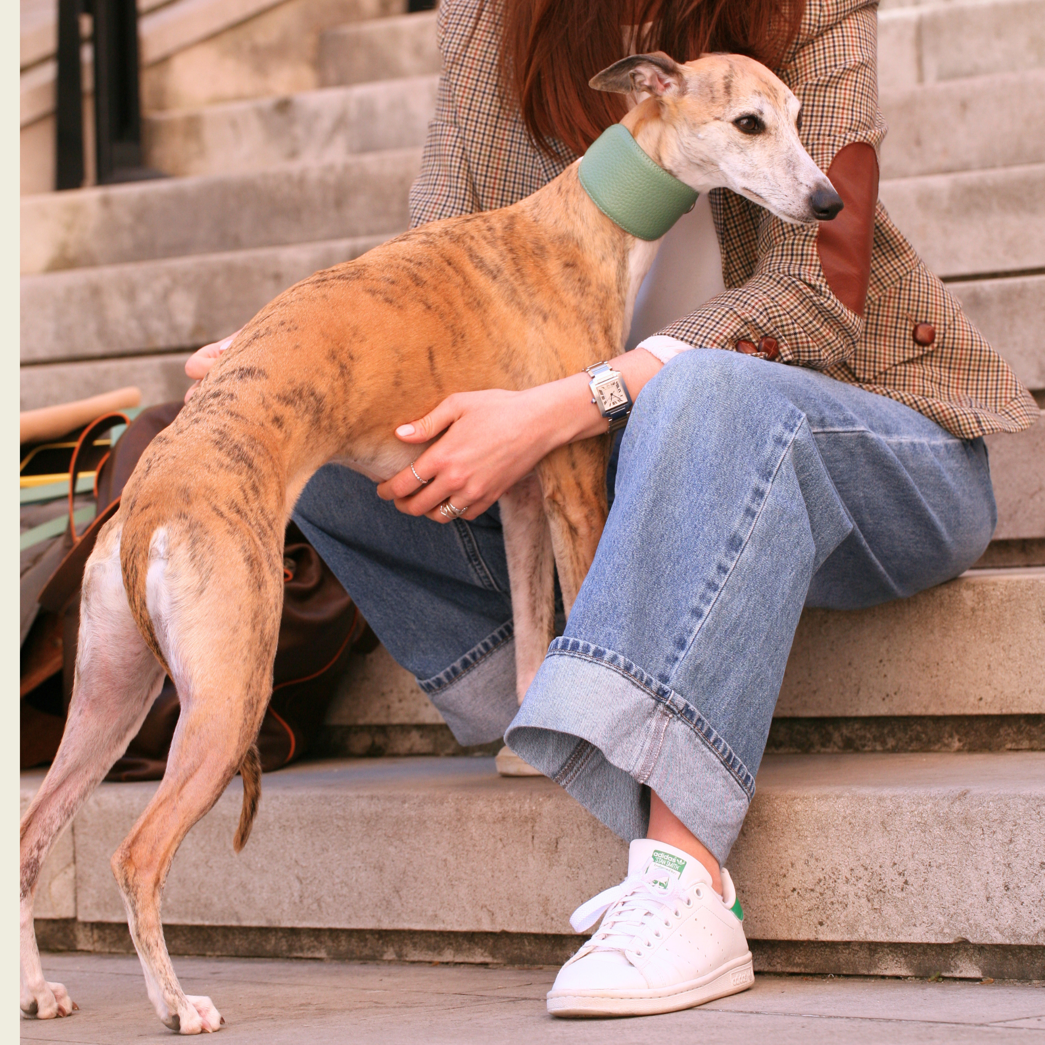 Collare Levriero in pelle Mint