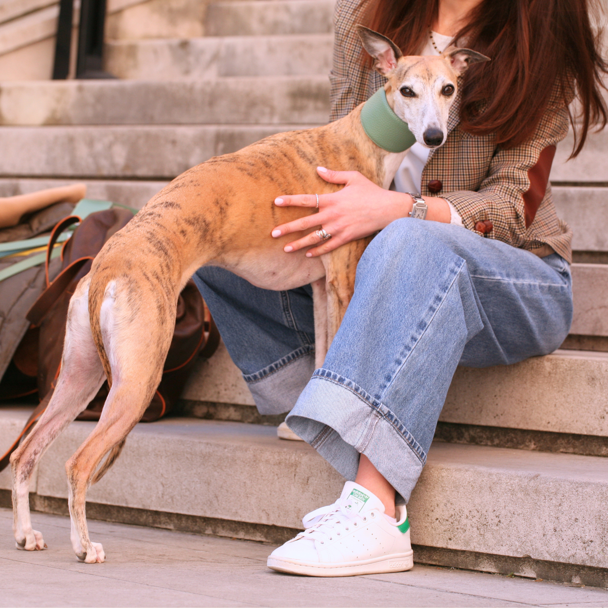 Collare Levriero in pelle Mint