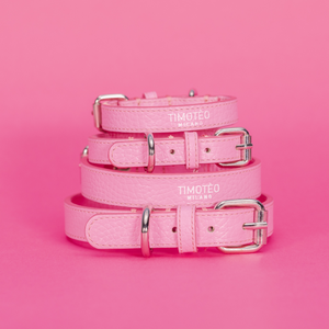 Color_Rosa Flamingo