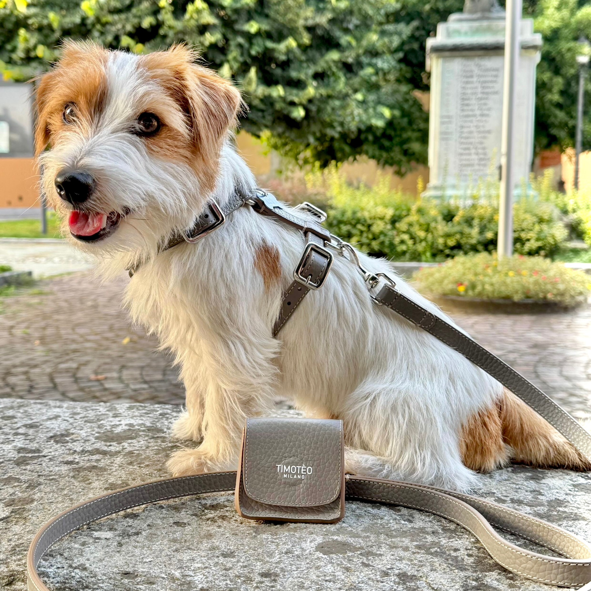 Guinzaglio in pelle Taupe