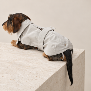 Giacca per cane beige chiara con zip frontale e bottoni laterali, taglio aderente