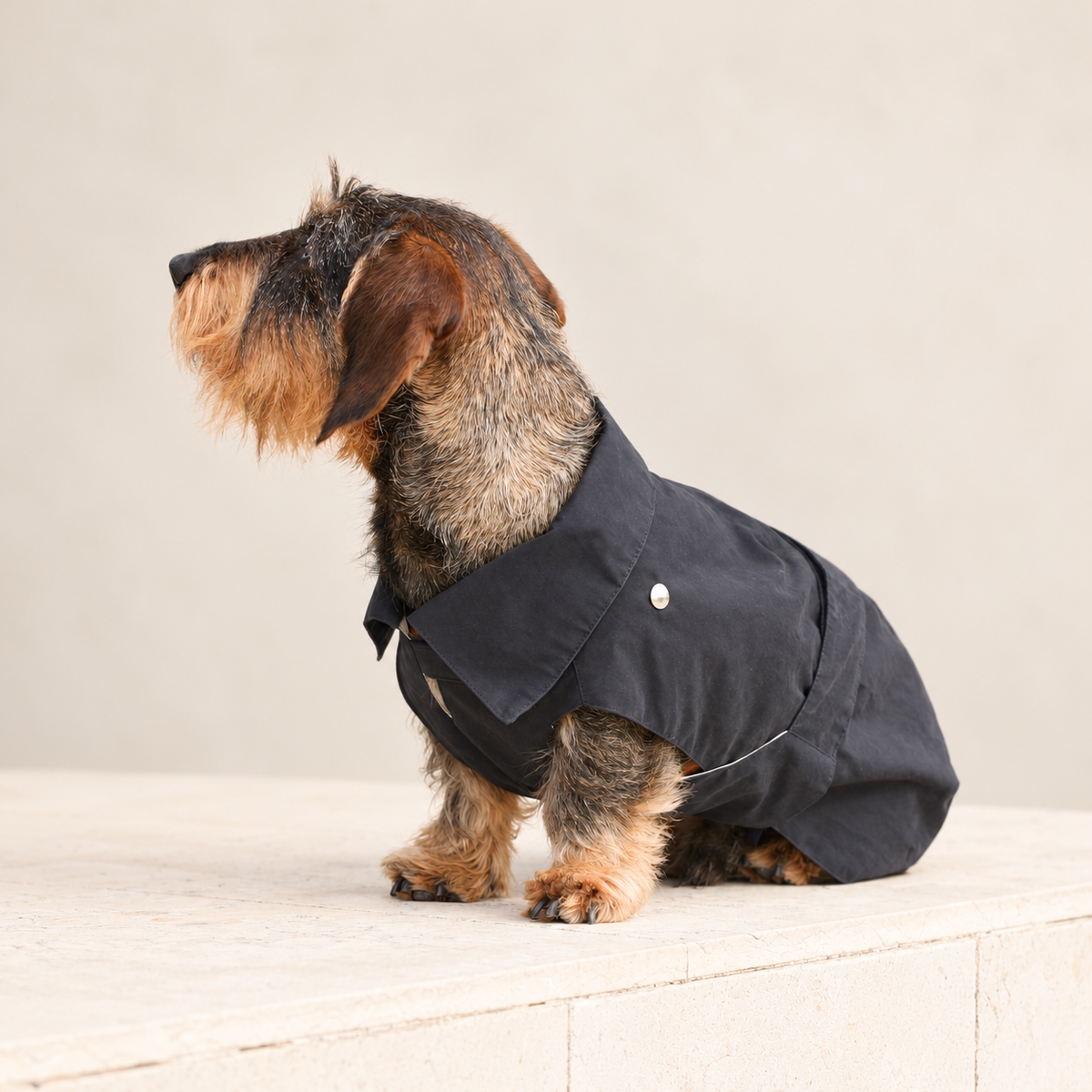 Cappottino blu notte per cane con collo rialzato e bottoni a pressione