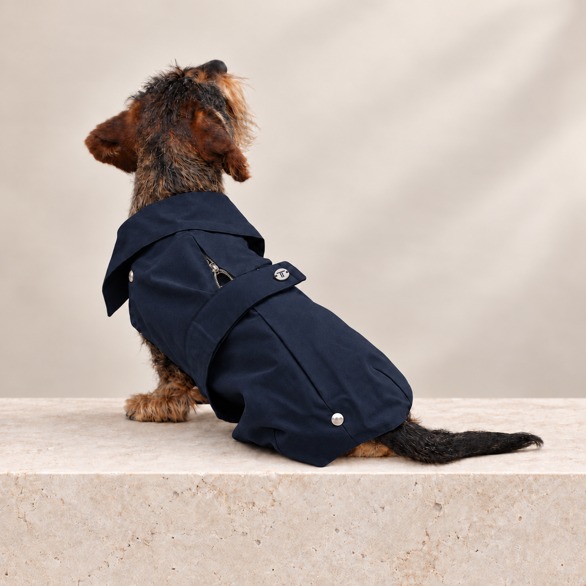 Cappottino blu notte per cane con bottoni a pressione e zip frontale
