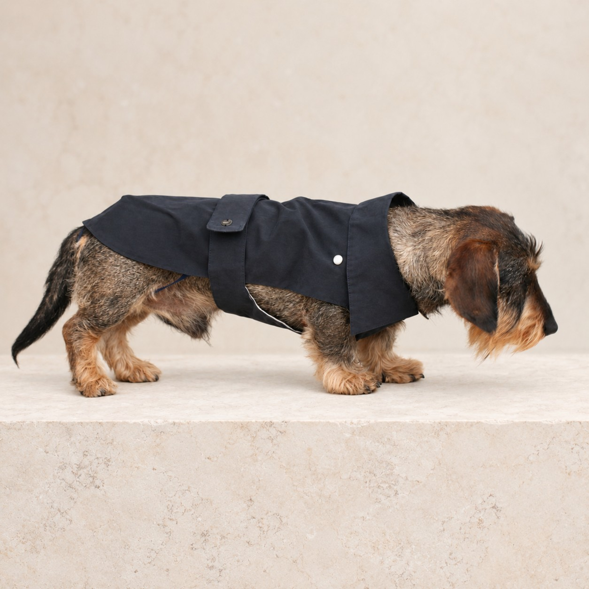 Giacca per cane blu notte con bottoni a pressione e colletto