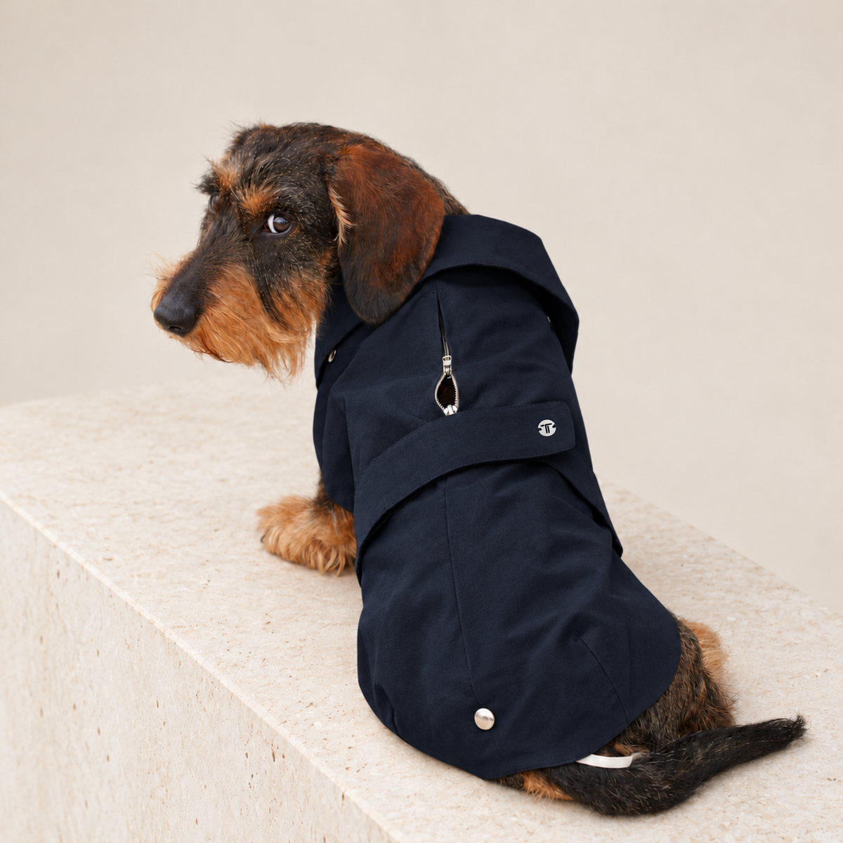 Cappottino per cane blu notte con cappuccio e chiusura a bottoni
