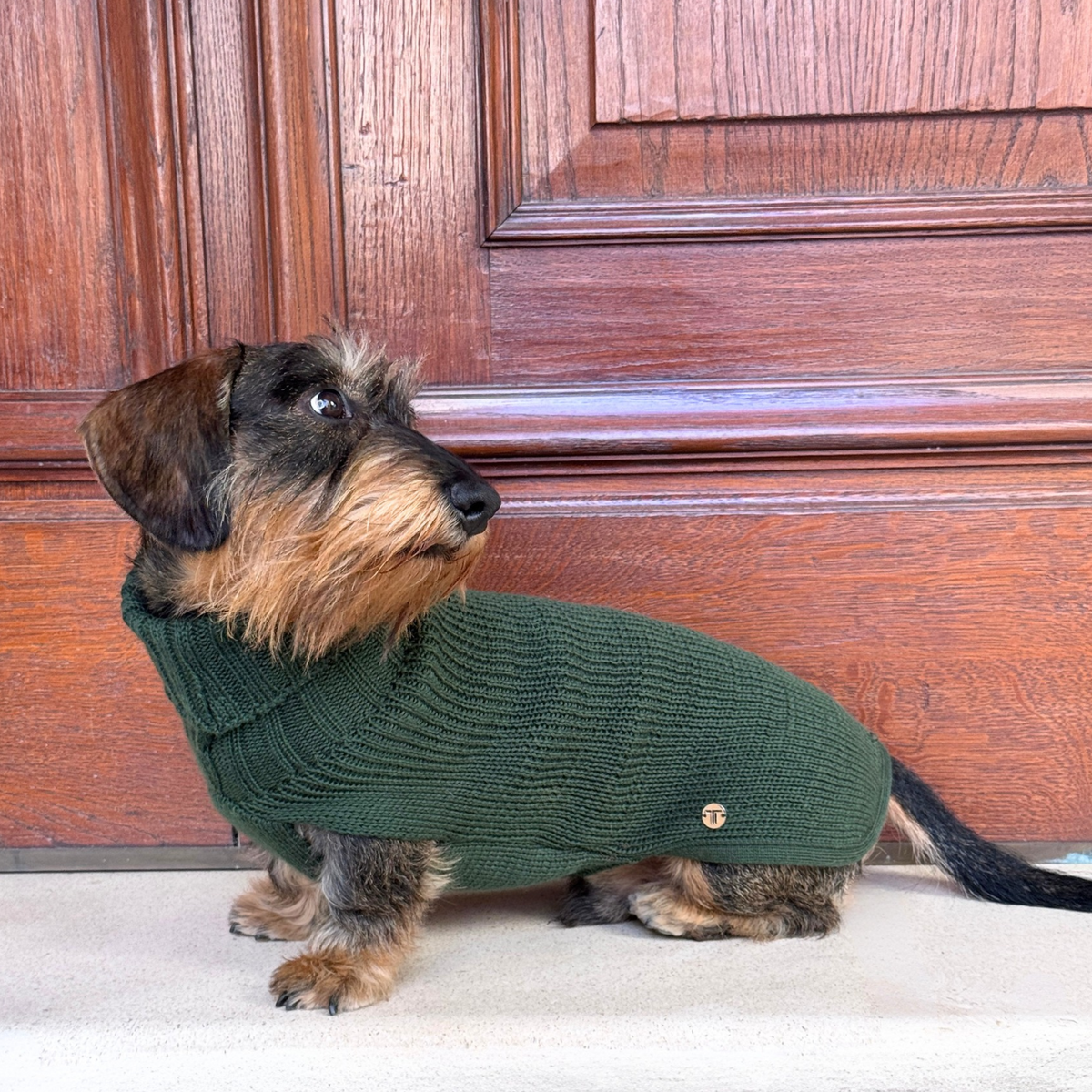 Maglioncino a collo alto verde bosco per cane, logo sul petto, maglia a coste.