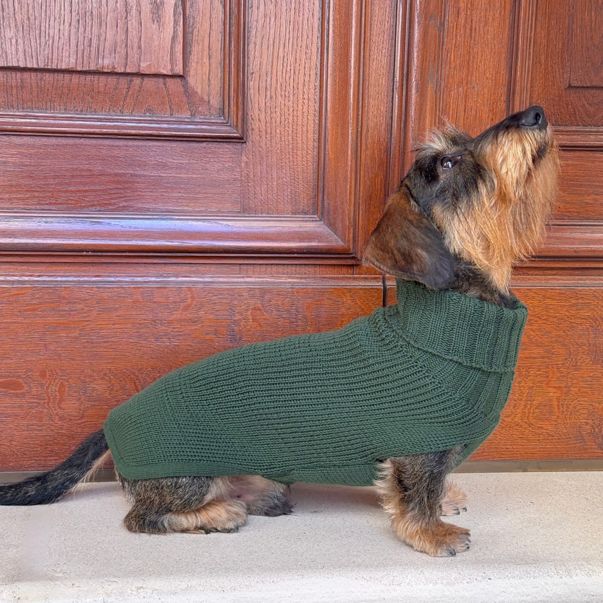 Maglioncino per cane a collo alto verde bosco, lavorazione a coste.