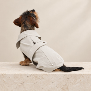 Giacca per cane beige chiaro con cappuccio e bordo rialzato