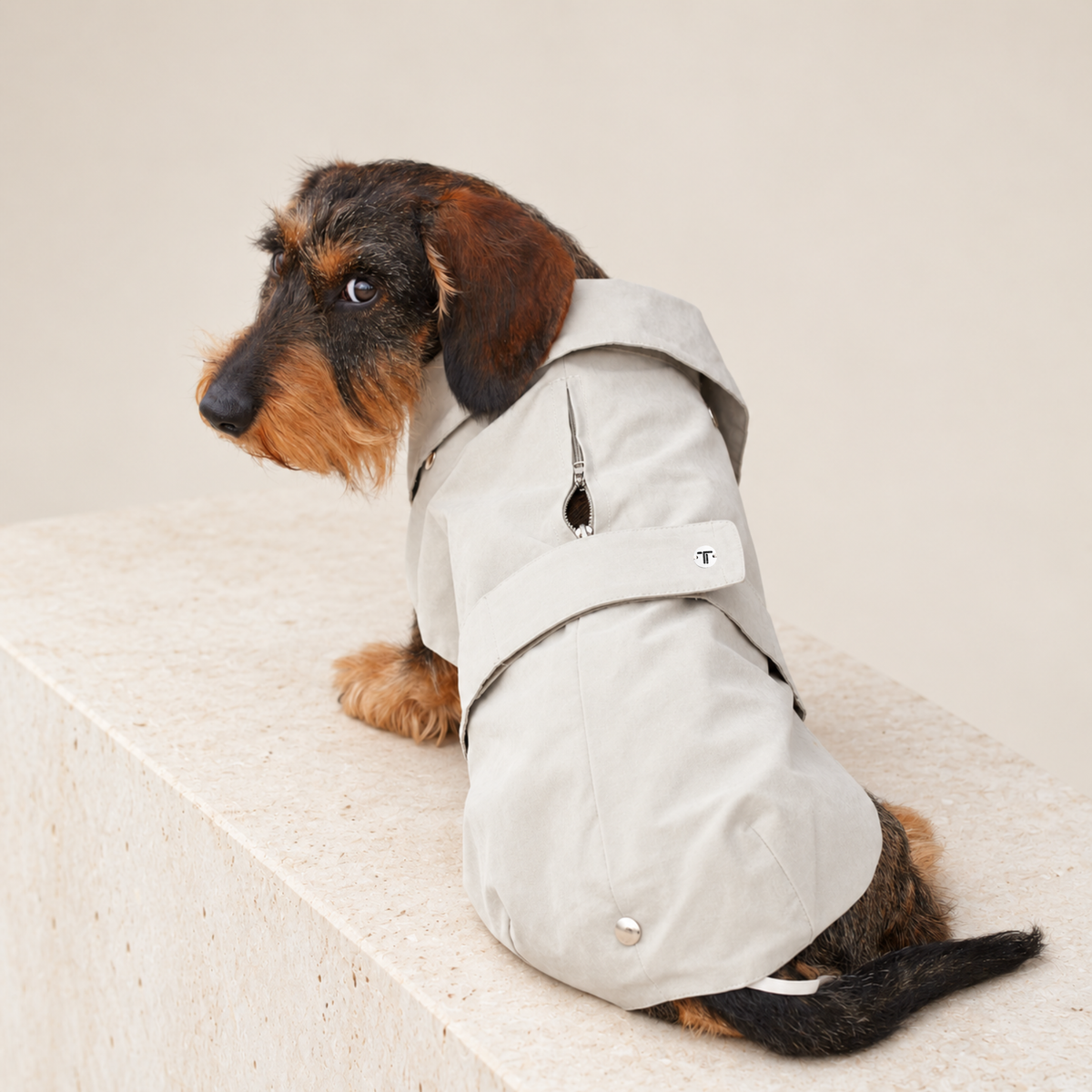 Giacca per cane beige chiaro con cappuccio e tasca con apertura