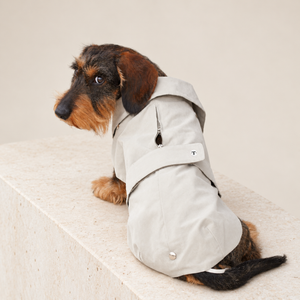 Giacca per cane beige chiaro con cappuccio e tasca con apertura