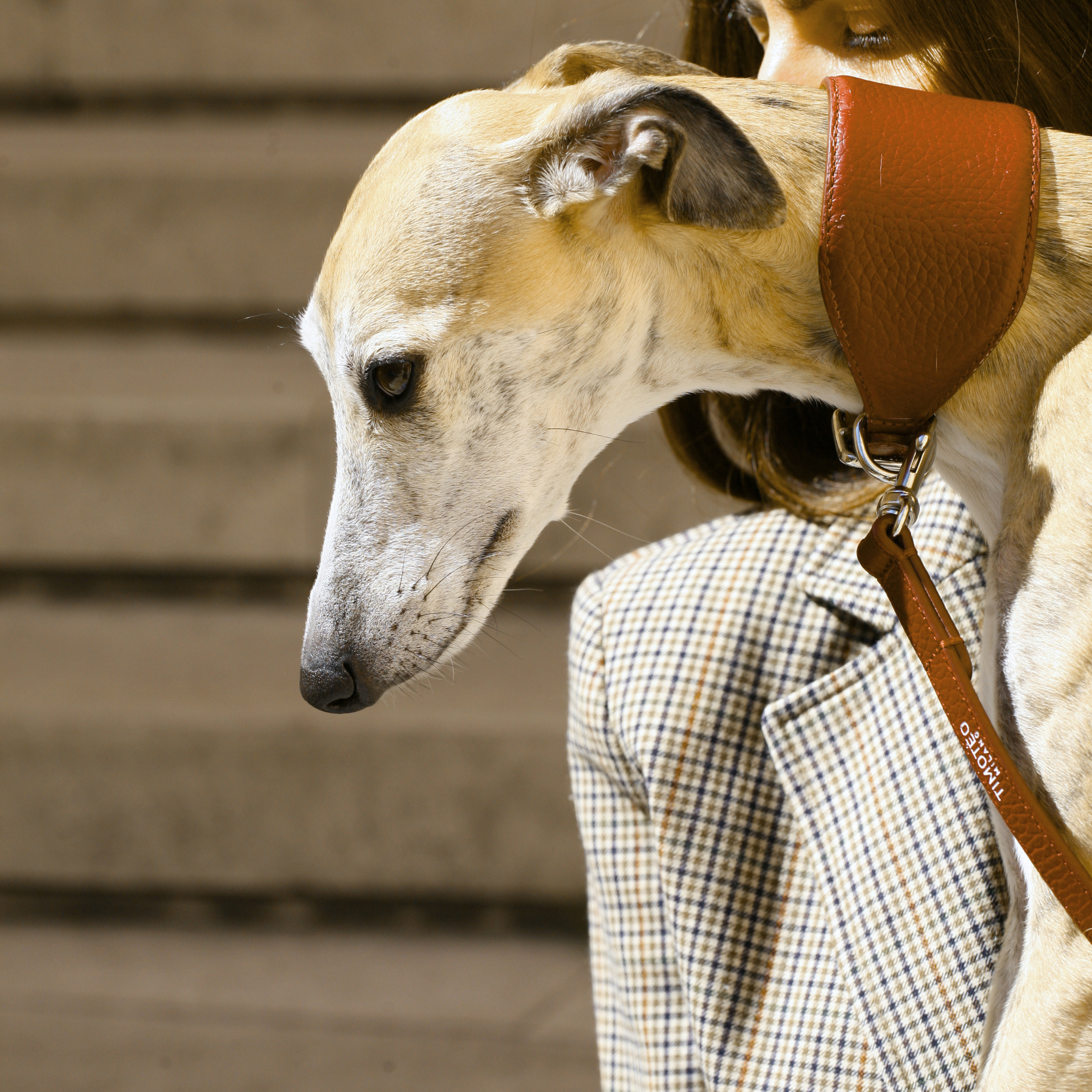 Collare Levriero in pelle Cinnamon