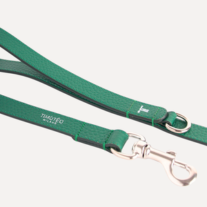 Guinzaglio in pelle verde con anello a D e moschettone in metallo